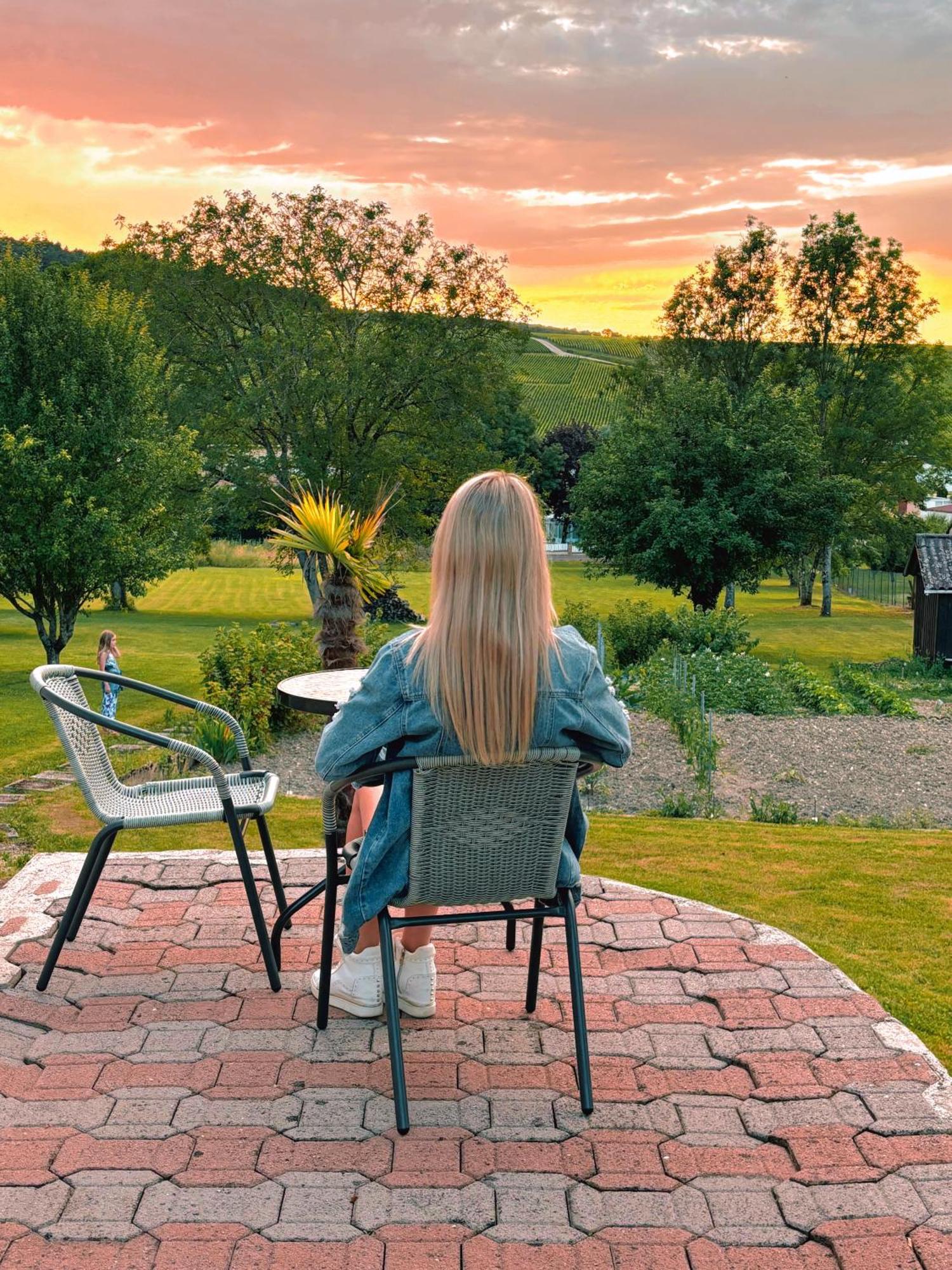 La Jonquille Villa Baroville Exteriör bild